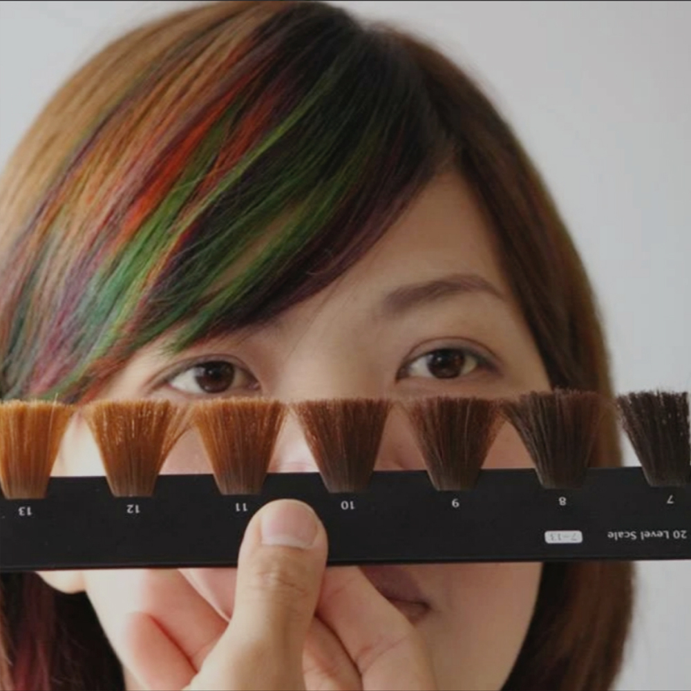 BC 染髮基因色彩學（一日）