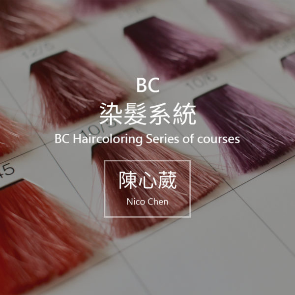 BC 系統化染髮（兩日）